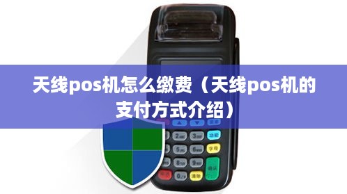 天线pos机怎么缴费（天线pos机的支付方式介绍）