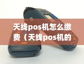 天线pos机怎么缴费（天线pos机的支付方式介绍）