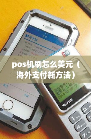 pos机刷怎么美元（海外支付新方法）