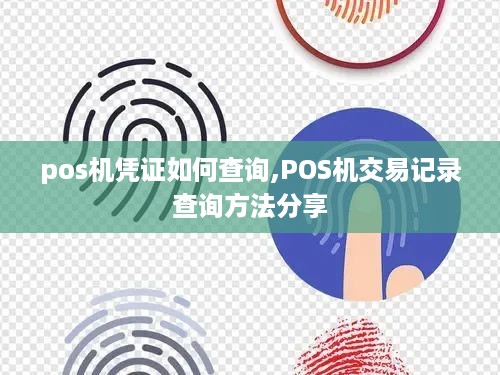 pos机凭证如何查询,POS机交易记录查询方法分享