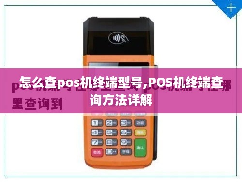 怎么查pos机终端型号,POS机终端查询方法详解