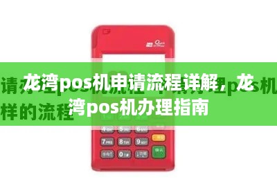 龙湾pos机申请流程详解，龙湾pos机办理指南