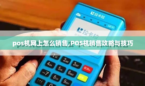 pos机网上怎么销售,POS机销售攻略与技巧