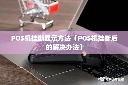 POS机挂断显示方法（POS机挂断后的解决办法）