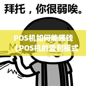 POS机如何能赚钱（POS机的盈利模式探究）