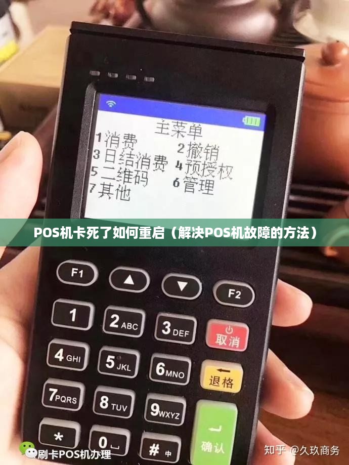 POS机卡死了如何重启（解决POS机故障的方法）