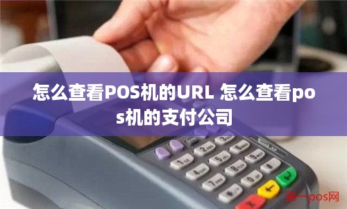 怎么查看POS机的URL 怎么查看pos机的支付公司