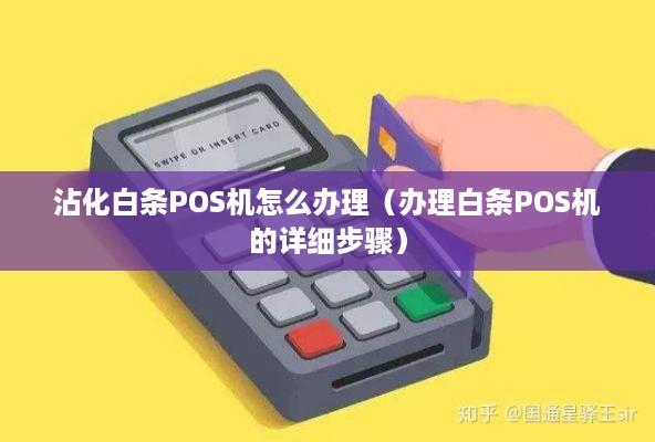 沾化白条POS机怎么办理（办理白条POS机的详细步骤）