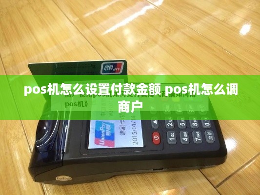 pos机怎么设置付款金额 pos机怎么调商户