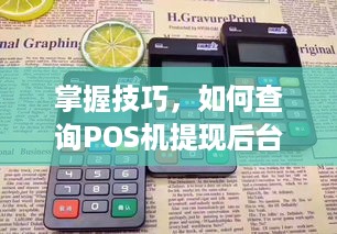 掌握技巧，如何查询POS机提现后台信息