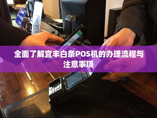 全面了解宜丰白条POS机的办理流程与注意事项