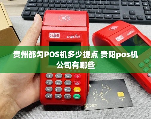 贵州都匀POS机多少提点 贵阳pos机公司有哪些