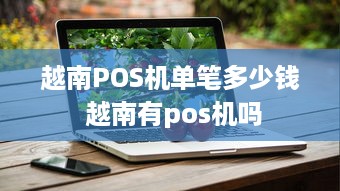 越南POS机单笔多少钱 越南有pos机吗