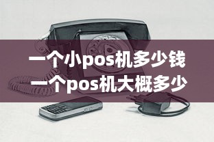 一个小pos机多少钱 一个pos机大概多少钱