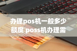 办理pos机一般多少额度 poss机办理需要花多少钱