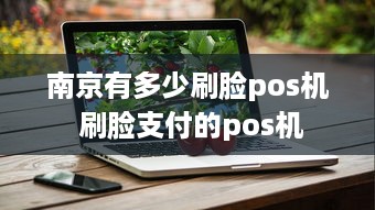 南京有多少刷脸pos机 刷脸支付的pos机