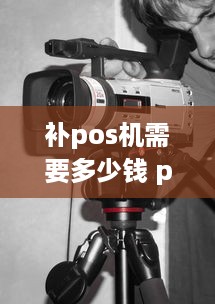 补pos机需要多少钱 pos机遗失补办要给钱吗