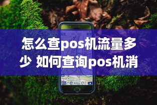 怎么查pos机流量多少 如何查询pos机消费明细