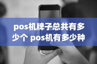 pos机牌子总共有多少个 pos机有多少种类