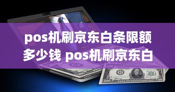 pos机刷京东白条限额多少钱 pos机刷京东白条限额多少钱一天