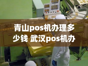 青山pos机办理多少钱 武汉pos机办理价格