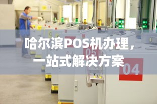 哈尔滨POS机办理，一站式解决方案