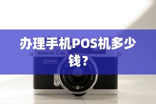 办理手机POS机多少钱？