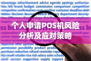 个人申请POS机风险分析及应对策略