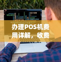 办理POS机费用详解，收费标准、费用结构、降低方法