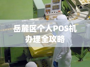 岳麓区个人POS机办理全攻略