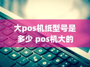 大pos机纸型号是多少 pos机大的