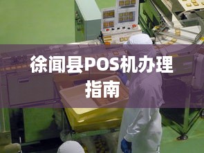 徐闻县POS机办理指南