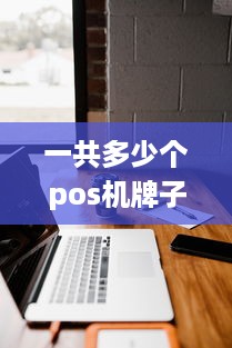 一共多少个pos机牌子 pos机有好几个有影响吗