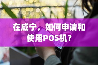 在咸宁，如何申请和使用POS机？