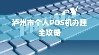 泸州市个人POS机办理全攻略