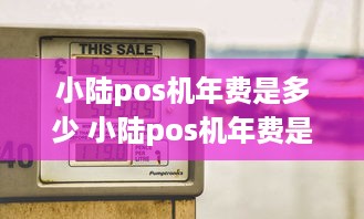 小陆pos机年费是多少 小陆pos机年费是多少钱