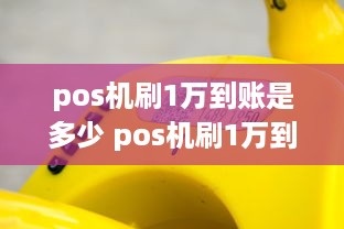 pos机刷1万到账是多少 pos机刷1万到账是多少手续费