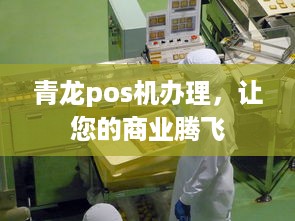 青龙pos机办理，让您的商业腾飞