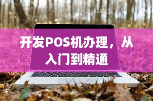 开发POS机办理，从入门到精通