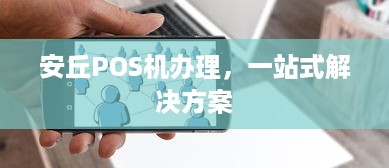 安丘POS机办理，一站式解决方案