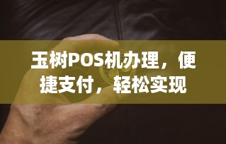 玉树POS机办理，便捷支付，轻松实现