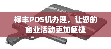 禄丰POS机办理，让您的商业活动更加便捷