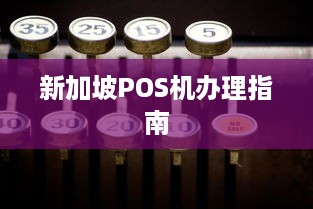 新加坡POS机办理指南