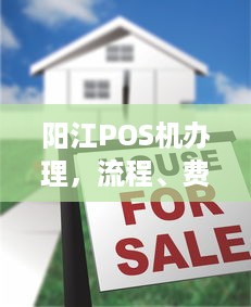 阳江POS机办理，流程、费用及注意事项