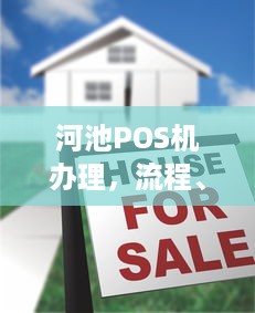 河池POS机办理，流程、费用及注意事项