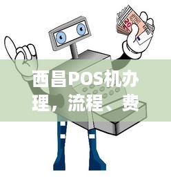 西昌POS机办理，流程、费用及注意事项