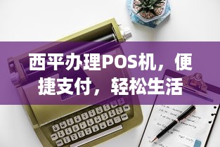 西平办理POS机，便捷支付，轻松生活