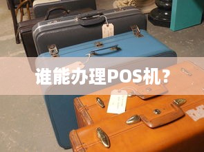 谁能办理POS机？