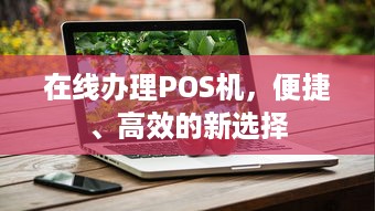 在线办理POS机，便捷、高效的新选择