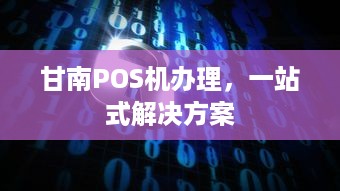 甘南POS机办理，一站式解决方案